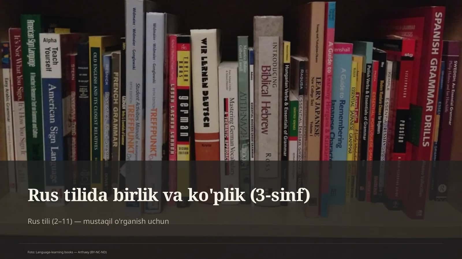 Rus tilida birlik va ko'plik (3-sinf) 1