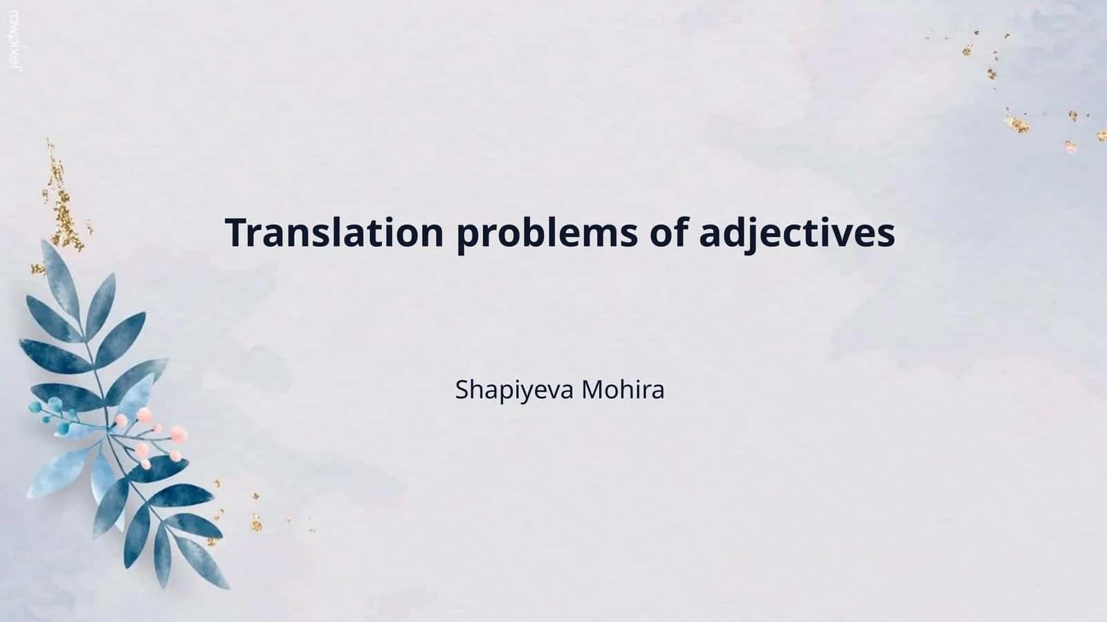 Translation problems of adjectives 1