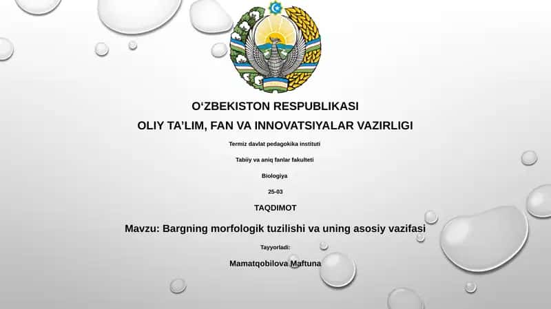 Bargning morfologik tuzilishi va uning asosiy vazifasi 1