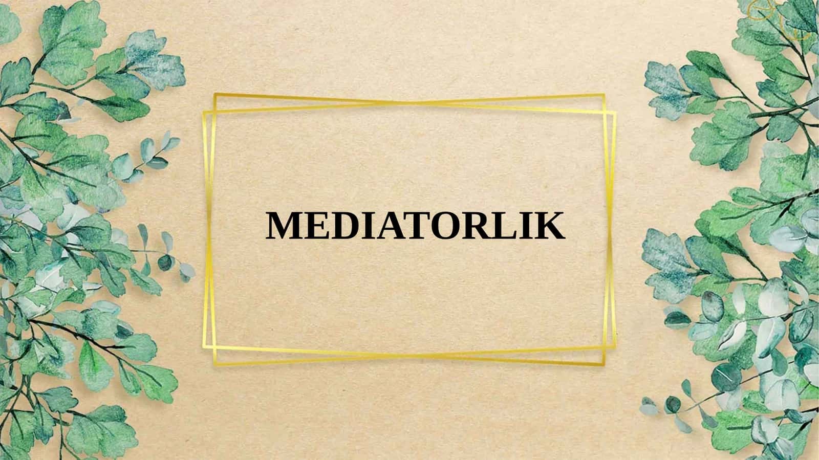 MEDIATORLIK 1