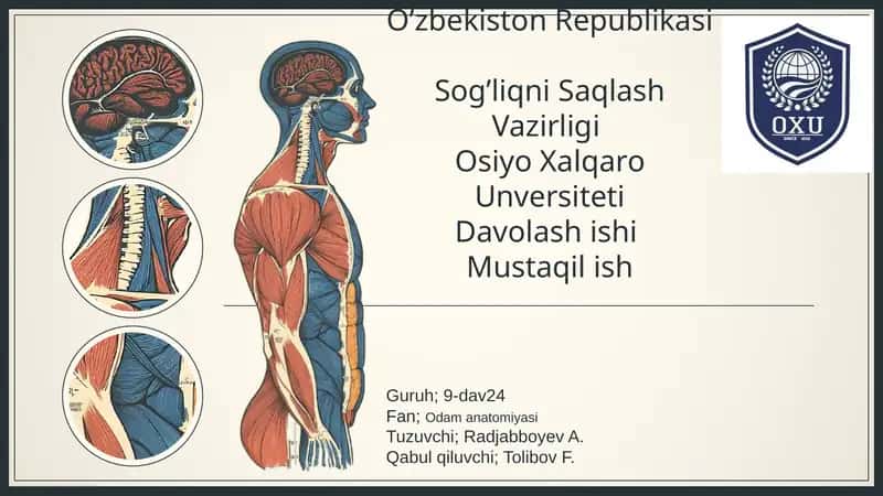 anatomiya 1
