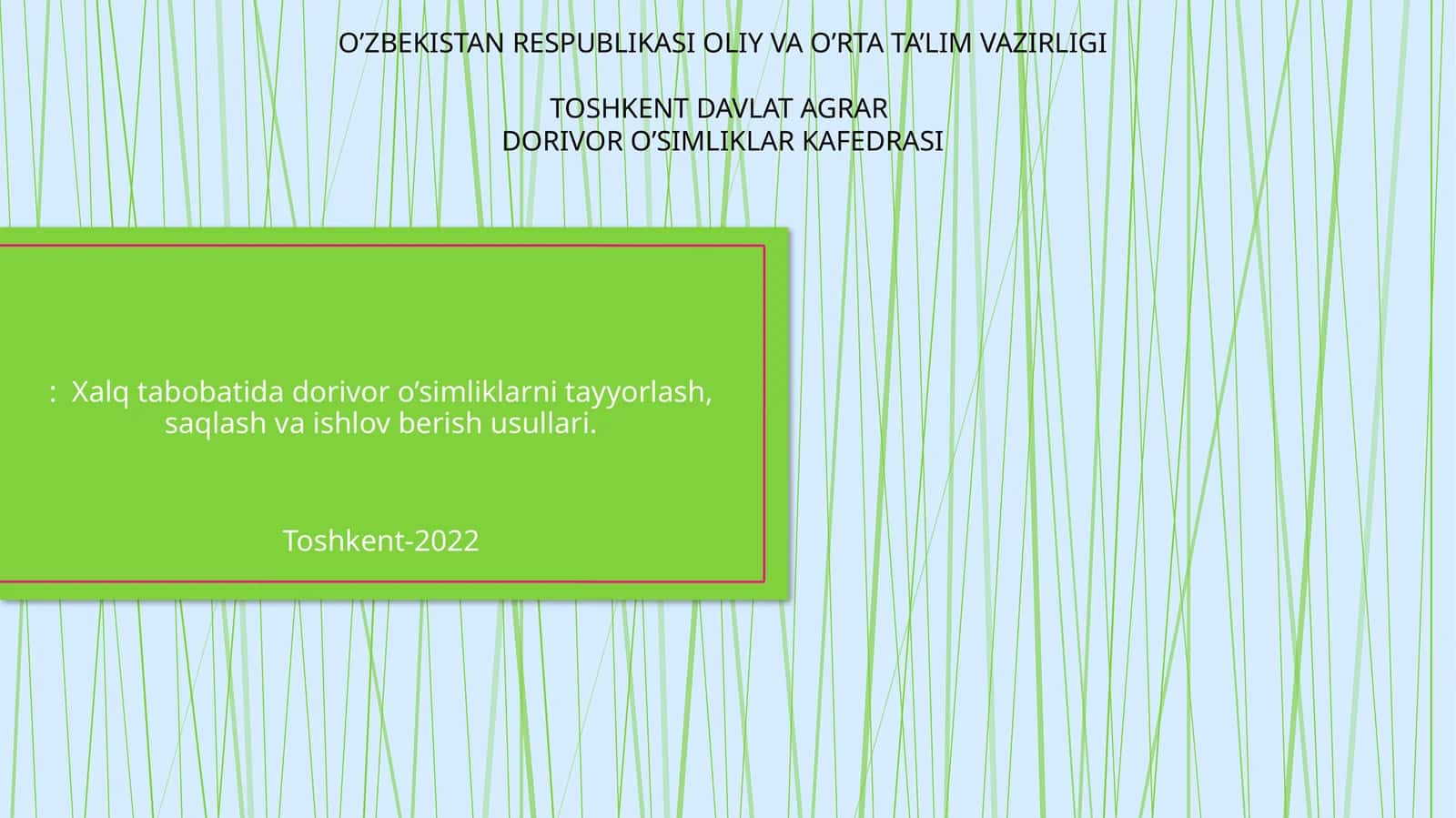 Dorivor о‘simliklar tayyorlash, saqlash va ishlov berish usullari 1