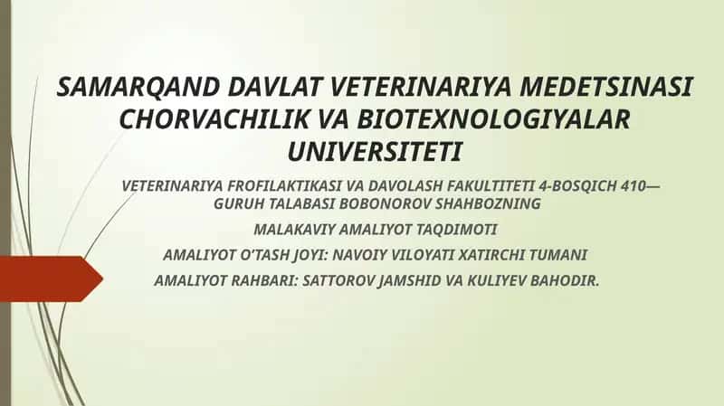 Qo’y va echkilarni Oqsil kasalligiga qarshi vaksina qilish 1