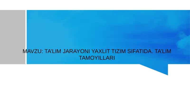 TA’LIM JARAYONI YAXLIT TIZIM SIFATIDA. TA’LIM TAMOYILLARI 1