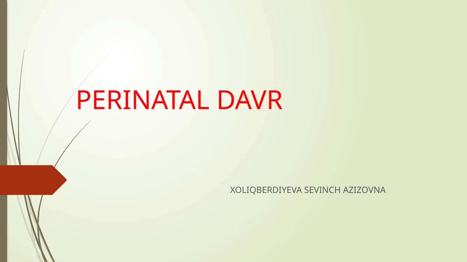 PERINATAL DAVR 1