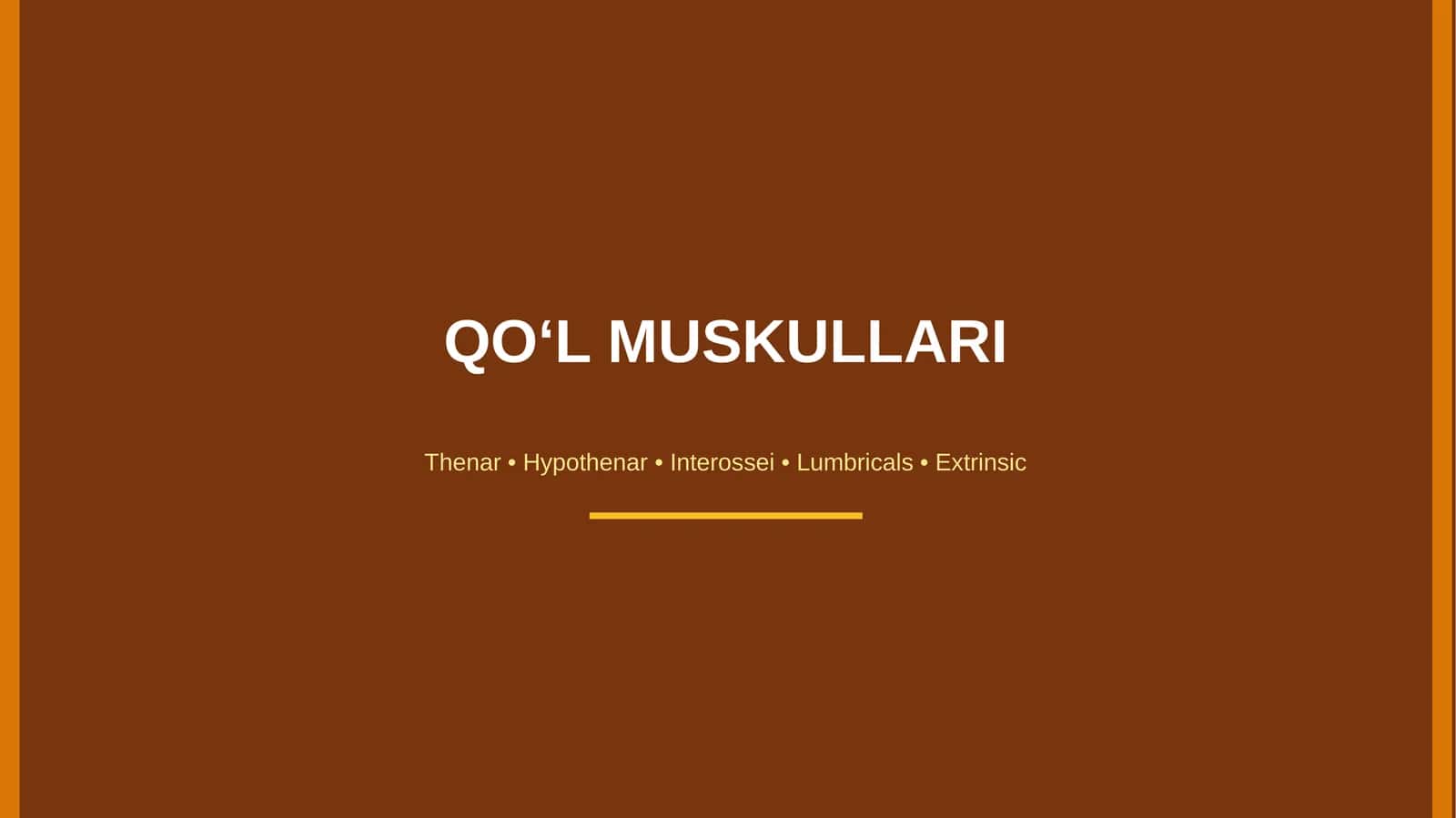 Qo'l muskullari 1