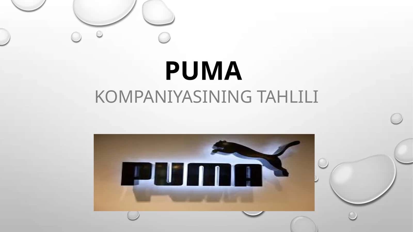 PUMA Kompaniyasining tahlili 1