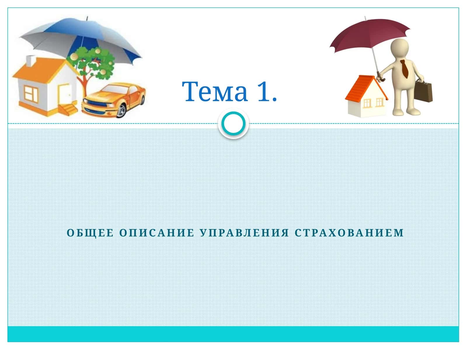 Общее описание управления страхованием 1