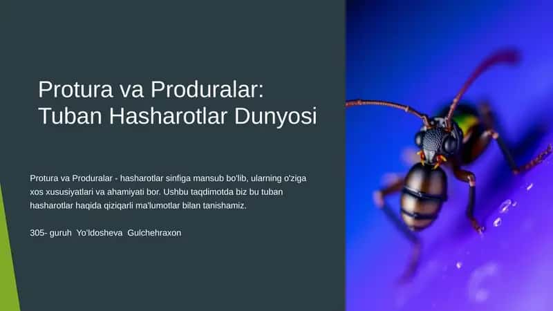 Protura va Produralar 1