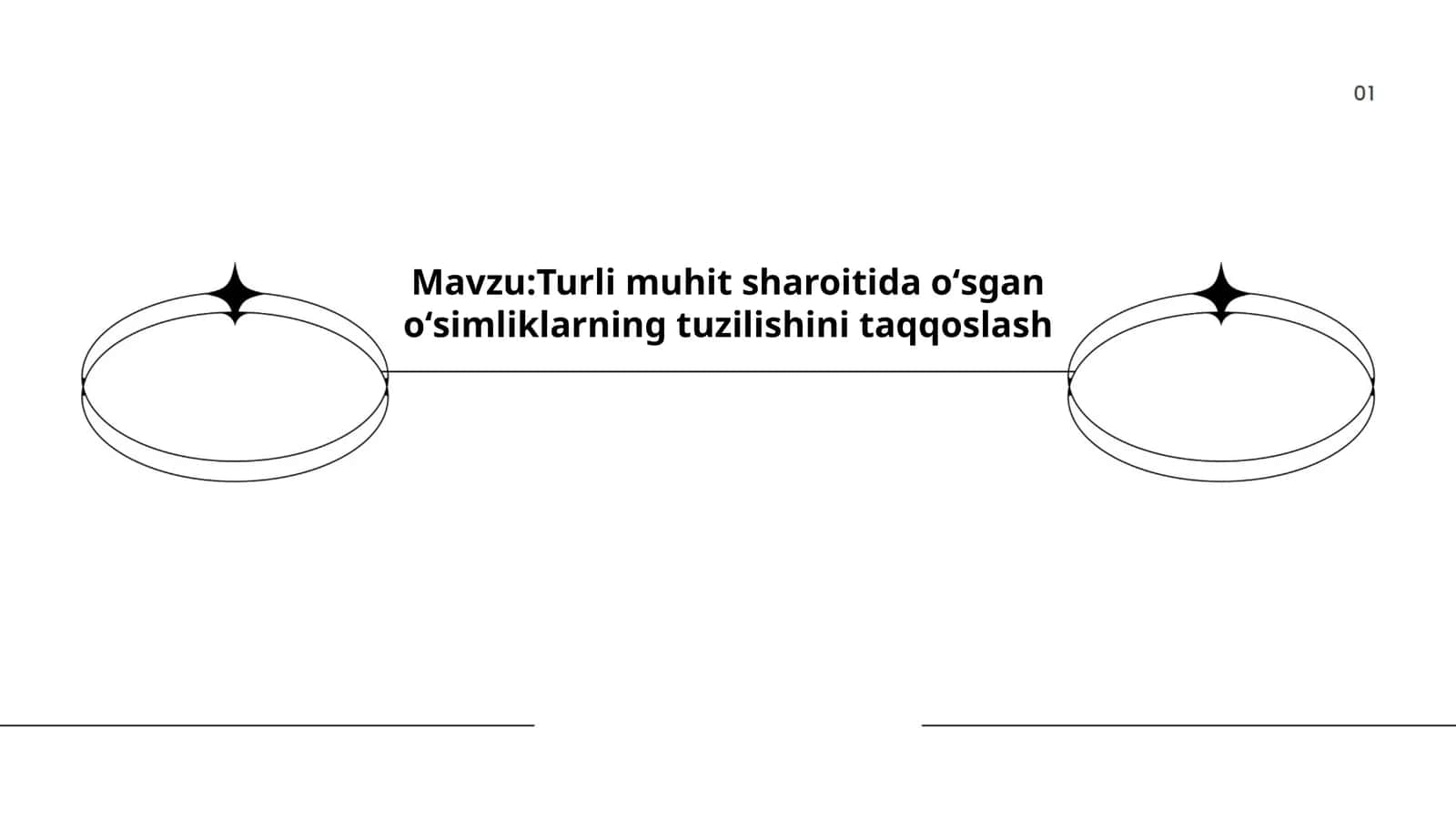 Turli muhit sharoitida oʻsgan oʻsimliklarning tuzilishini taqqoslash 1