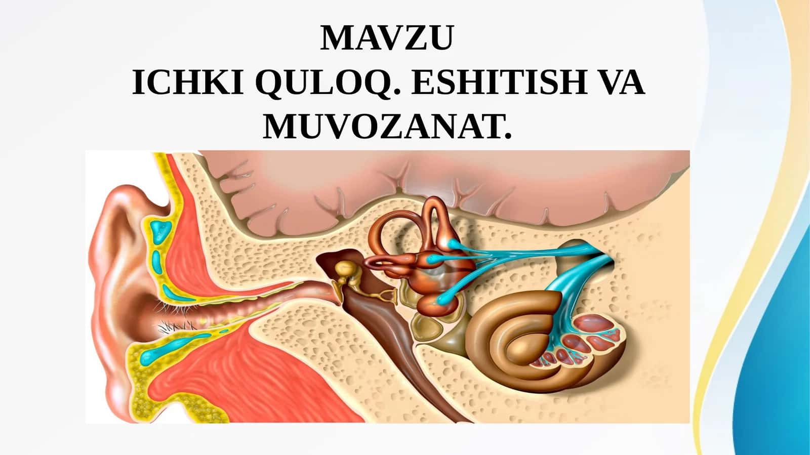 ICHKI QULOQ. ESHITISH VA MUVOZANAT 1