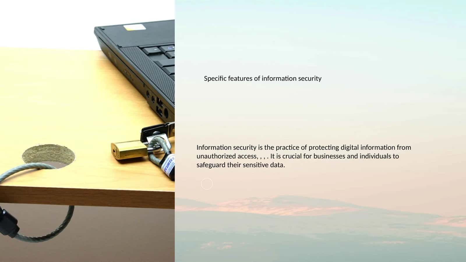 Information Security Importance 1