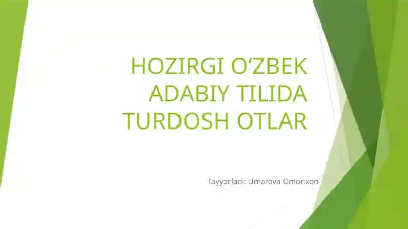 Ho'zirgi Oʻzbek adabiy tilida Turdosh Otlar 1