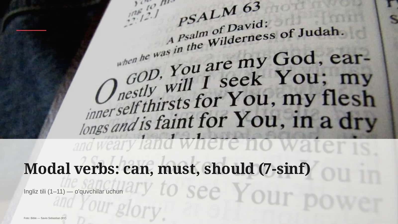 Modal verbs: can, must, should (7-sinf) 1