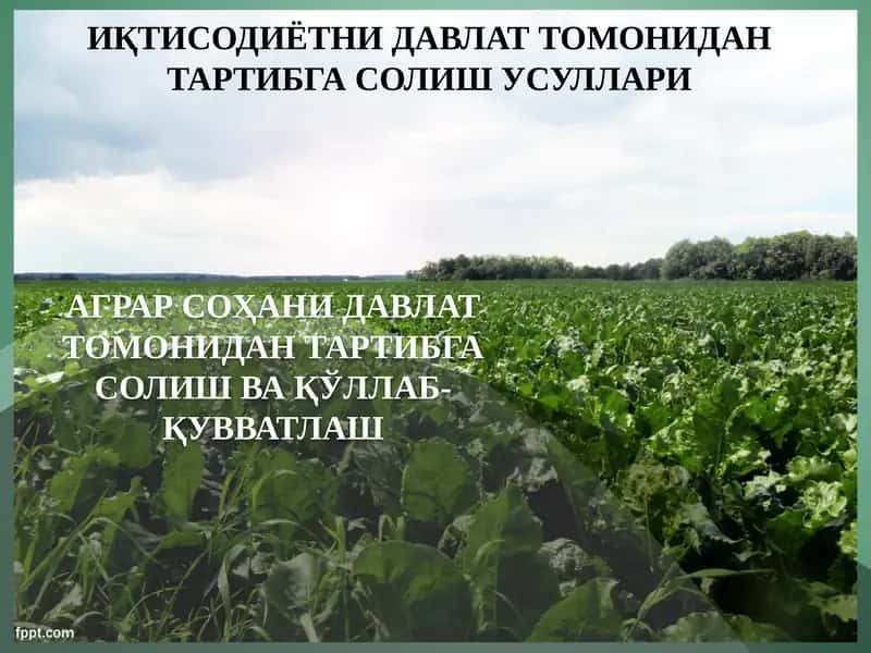 Agrar sohani davlat tomonidan tartibga solish va qo‘llab-quvvatlash 1
