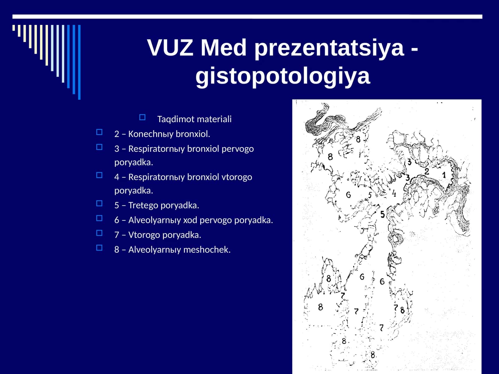Gistopatologiya asoslari 1