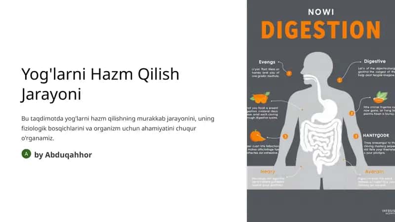 Yog'larni Hazm Qilish Jarayoni 1