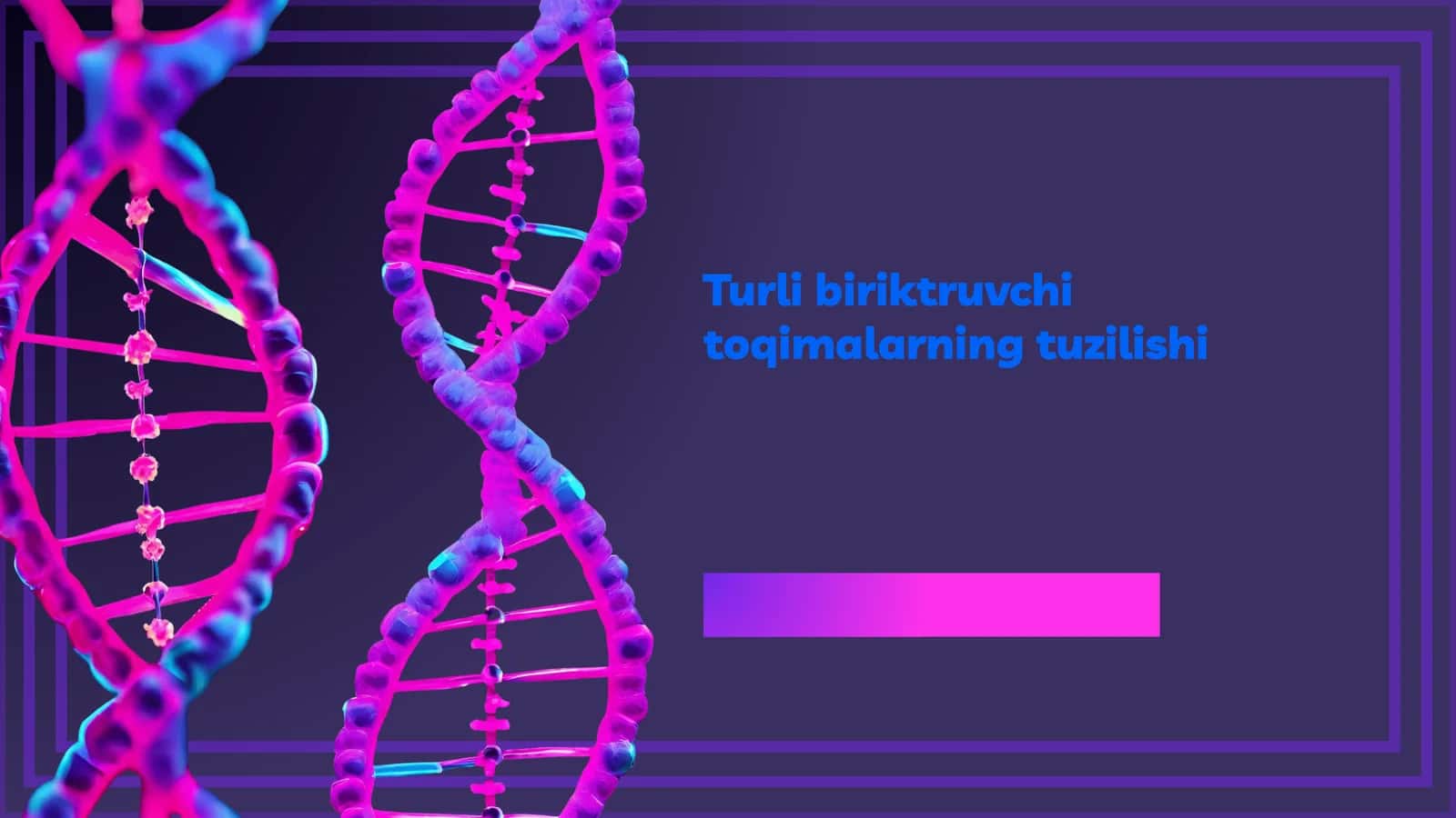 Birikuvchi Toqimalarning Tuzilishi 1
