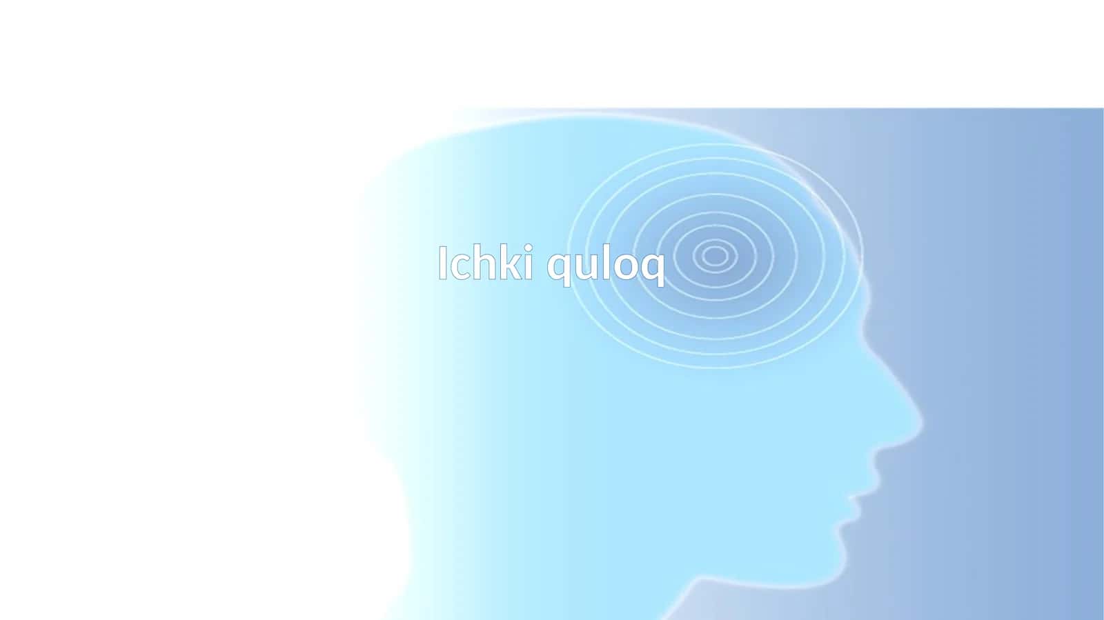 Ichki quloq 1