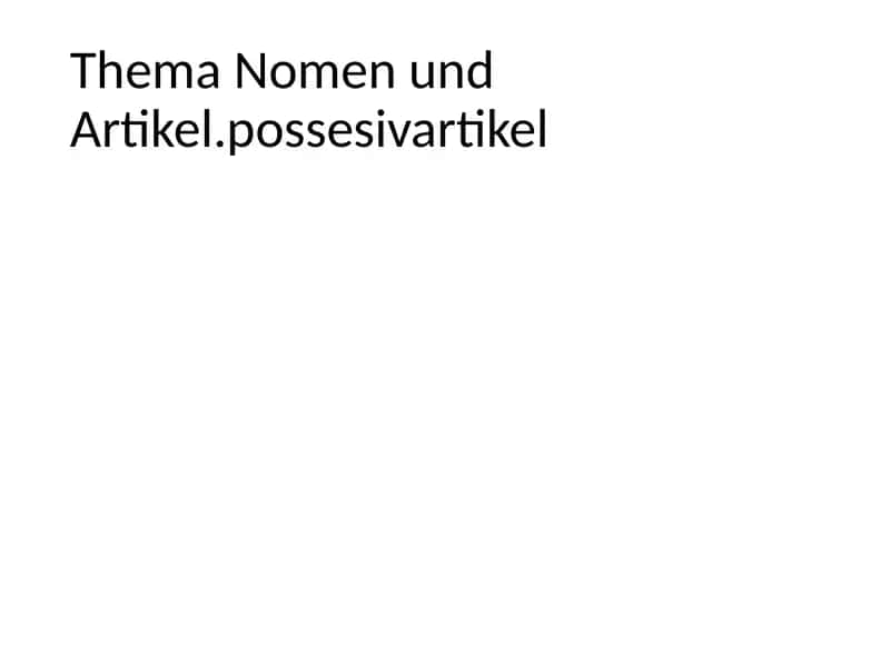 Thema Nomen und Artikel.possesivartikel 1
