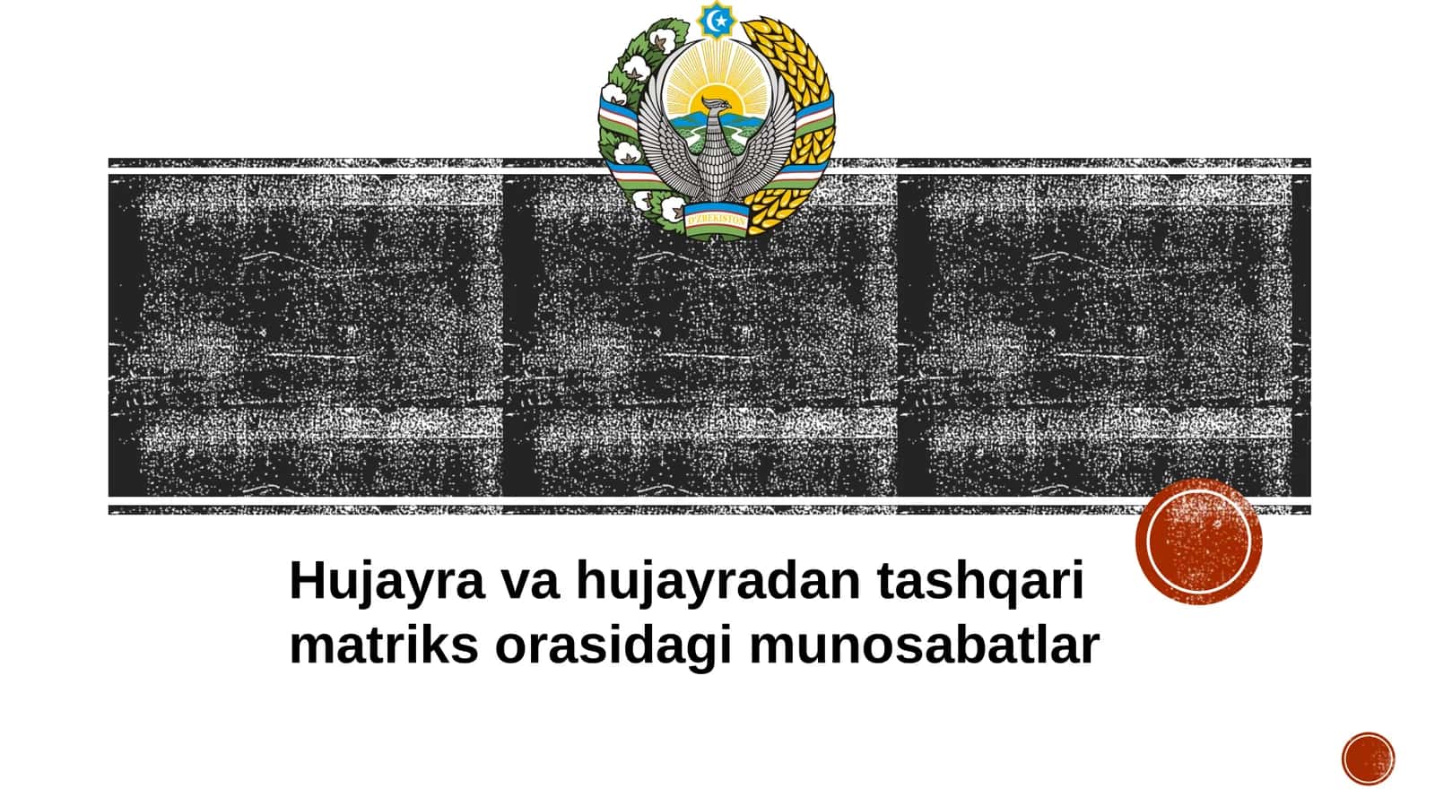 Hujayra va hujayradan tashqari matriks orasidagi munosabatlar 1