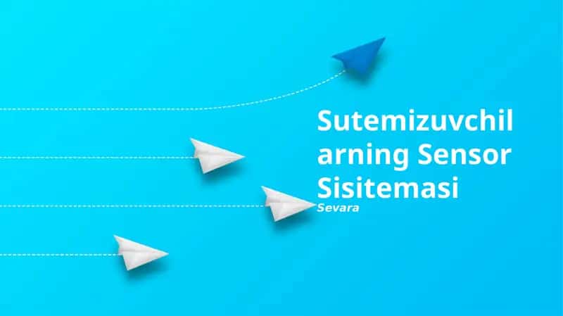 Somatosensor tizimi 1