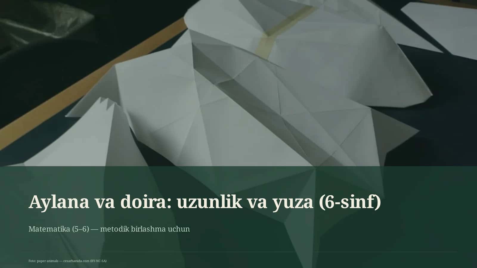 Aylana va doira: uzunlik va yuza (6-sinf) 1