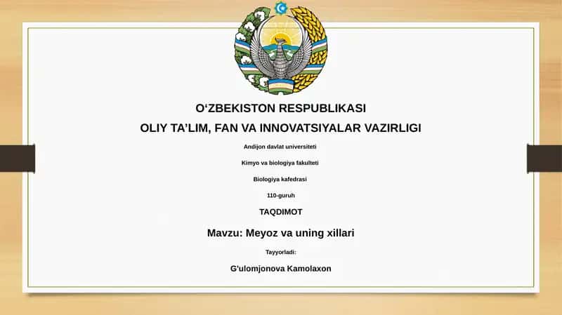 Meyoz va uning xillari 1