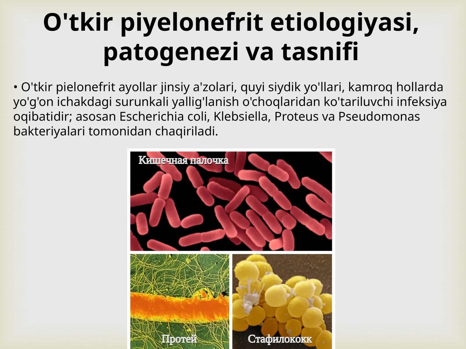 O'tkir piyelonefrit etiologiyasi, patogenezi va tasnifi 1
