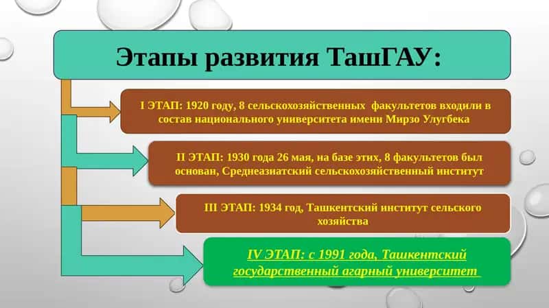 Этапы развития ТашГАУ 1