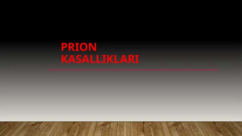 Prion kasalliklari 1