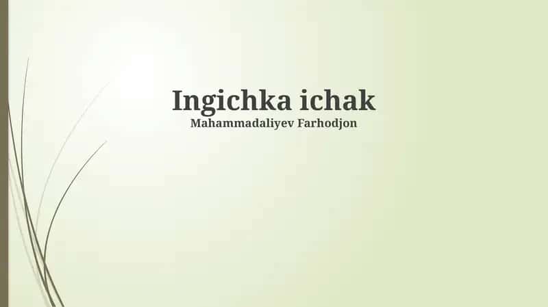 Ingichka ichak 1