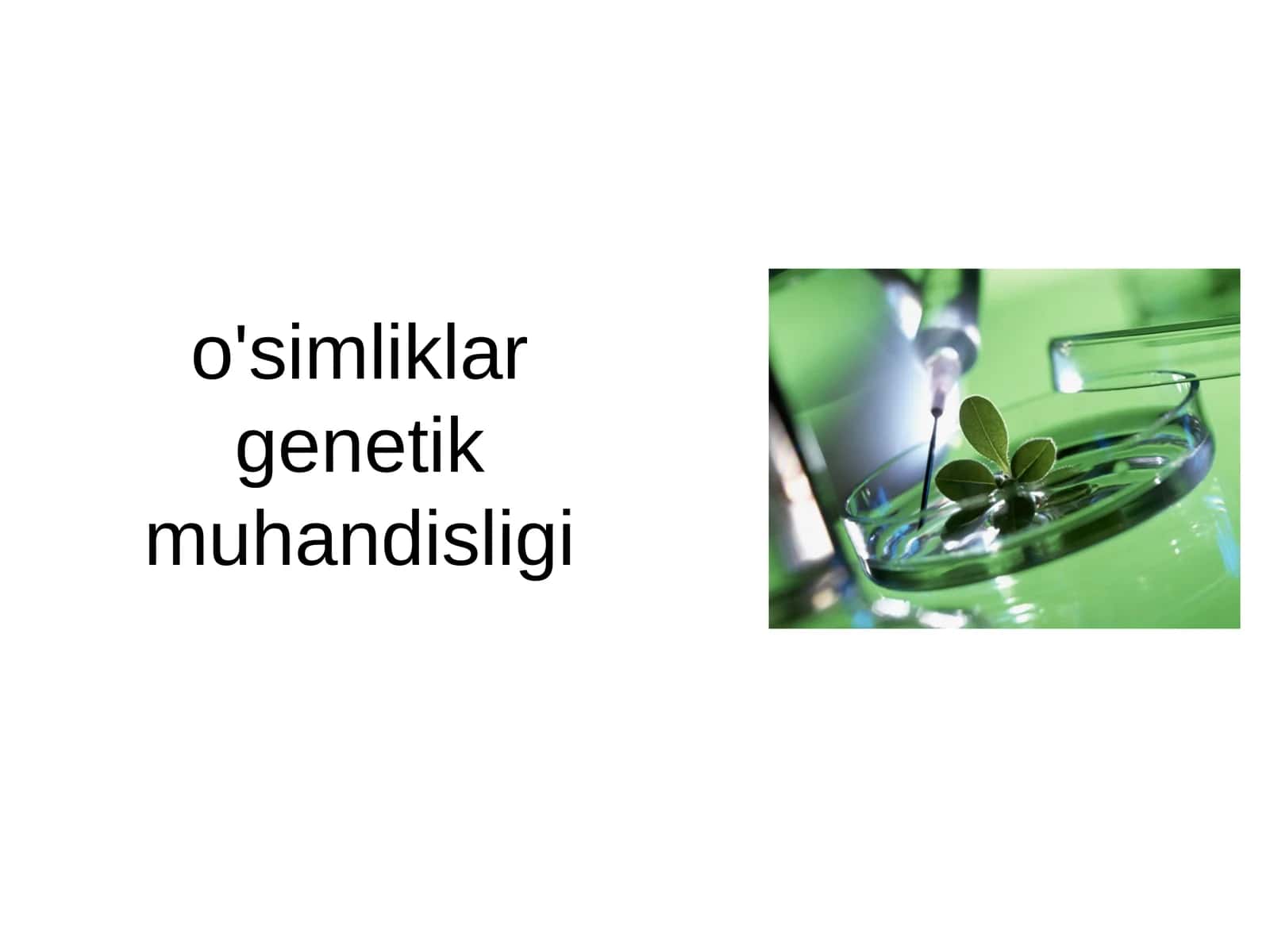 O'simliklar genetik muhandisligi 1