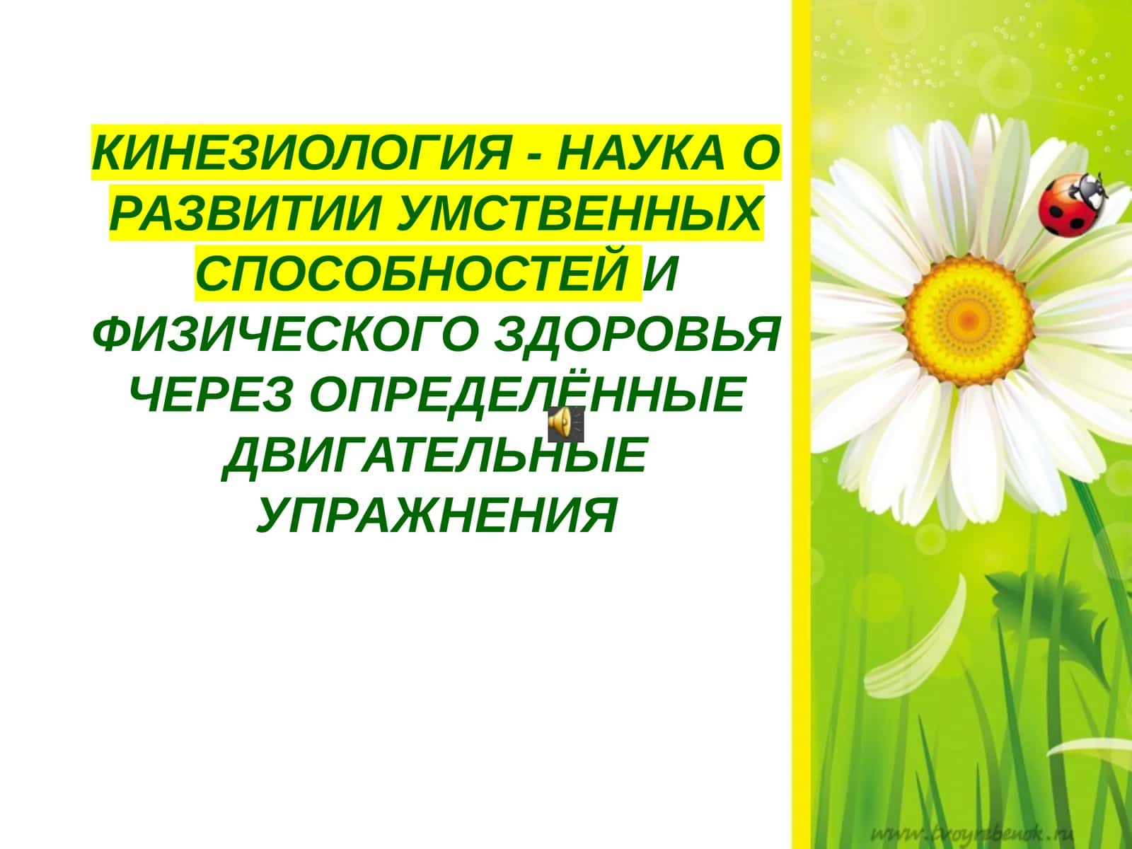 КИНЕЗИОЛОГИЯ 1