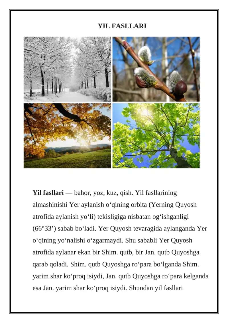 Yil Fasllari 1