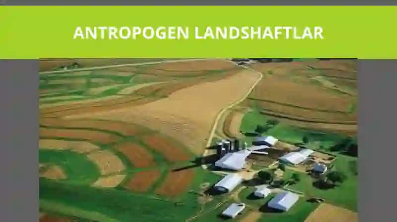 ANTROPOGEN LANDSHAFTLAR 1