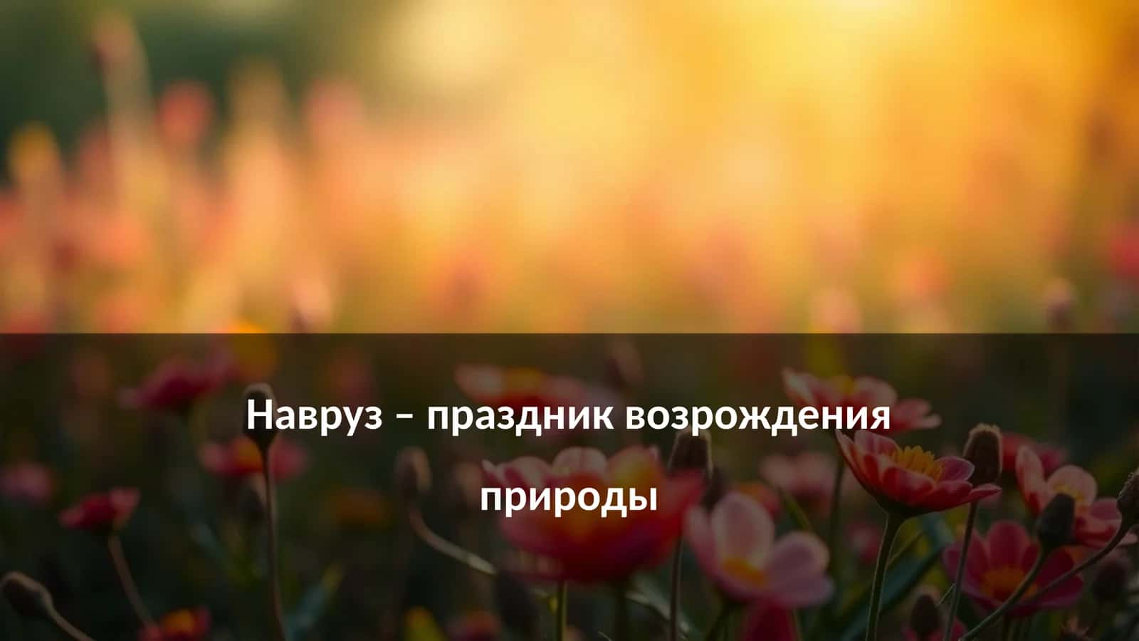 Навруз – праздник возрождения природы 1