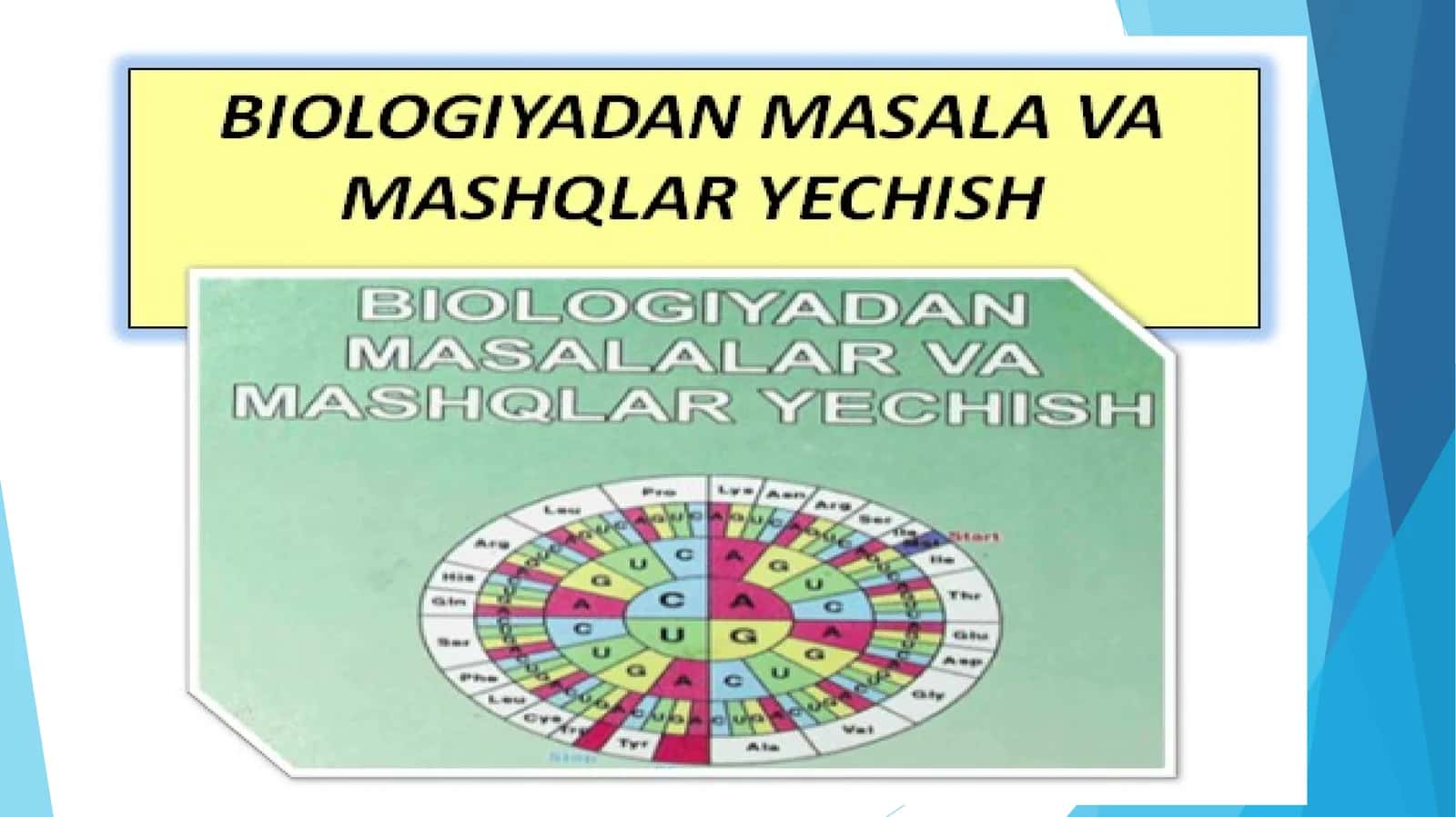 Plastik va energetik almashinuv bo‘yicha masala va mashqlar yechish 1
