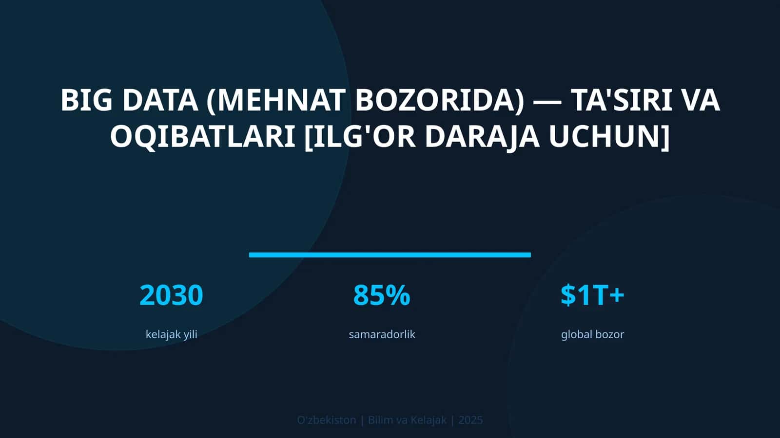 BIG DATA (MEHNAT BOZORIDA) — TA'SIRI VA OQIBATLARI [ILG'OR DARAJA UCHUN] 1