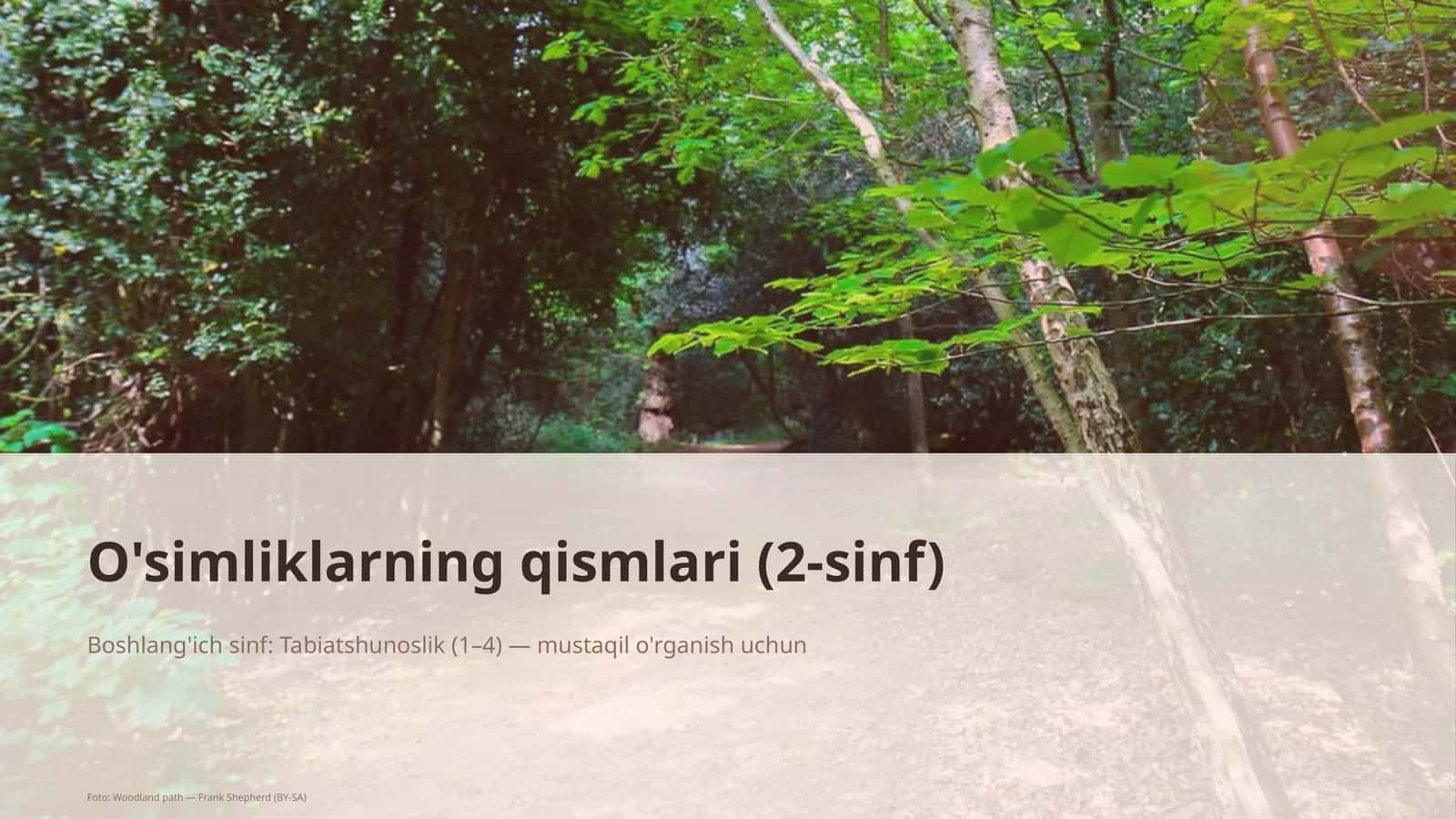 O'simliklarning qismlari (2-sinf) 1