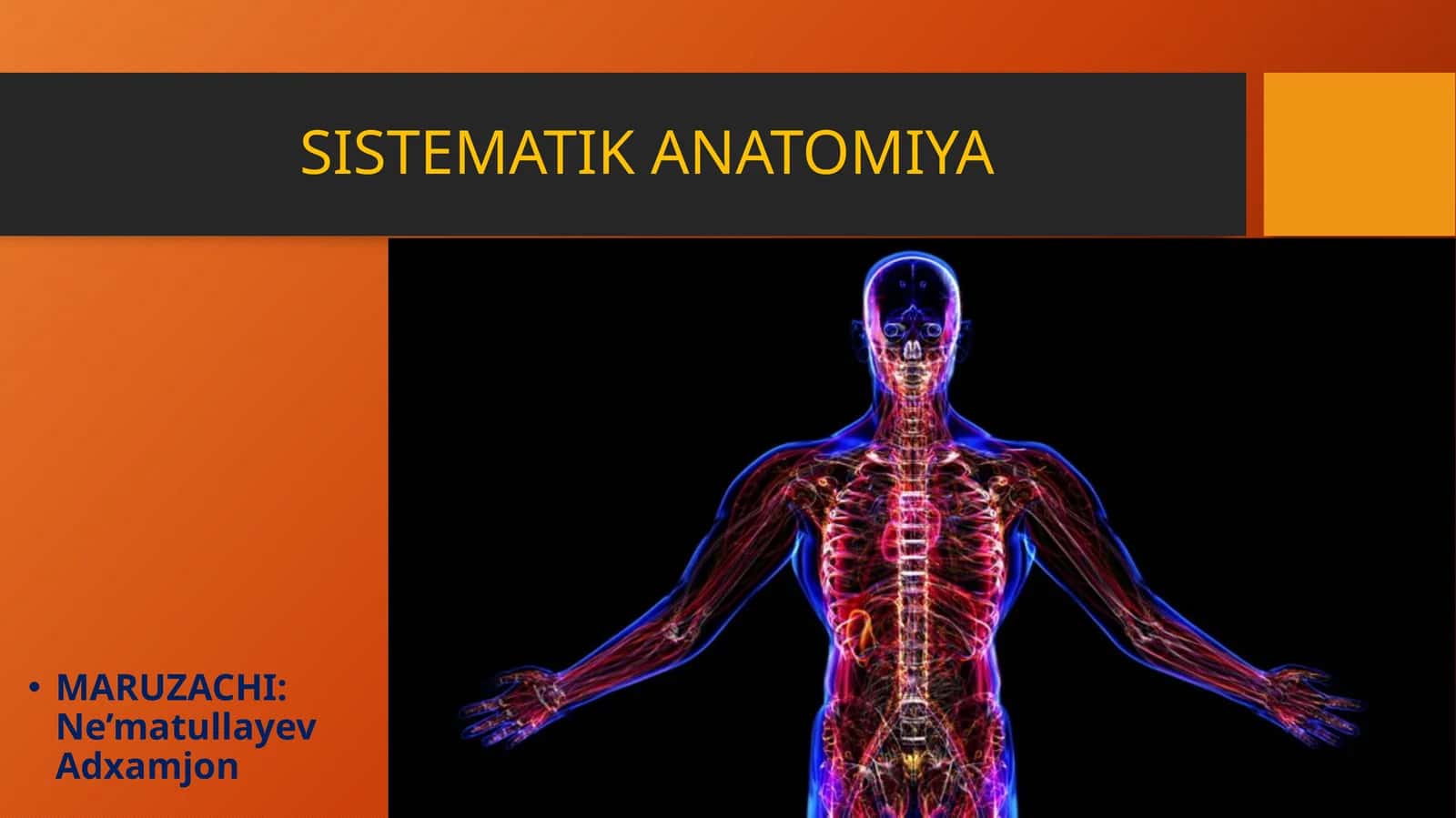SISTEMATIK ANATOMIYA 1