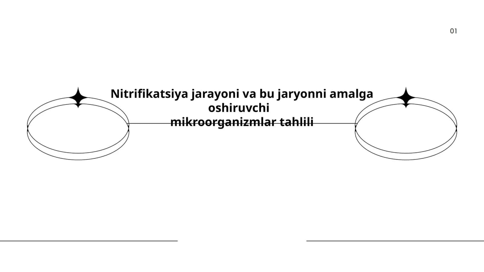 Nitrifikatsiya jarayoni va bu jaryonni amalga oshiruvchi mikroorganizmlar tahlili 1