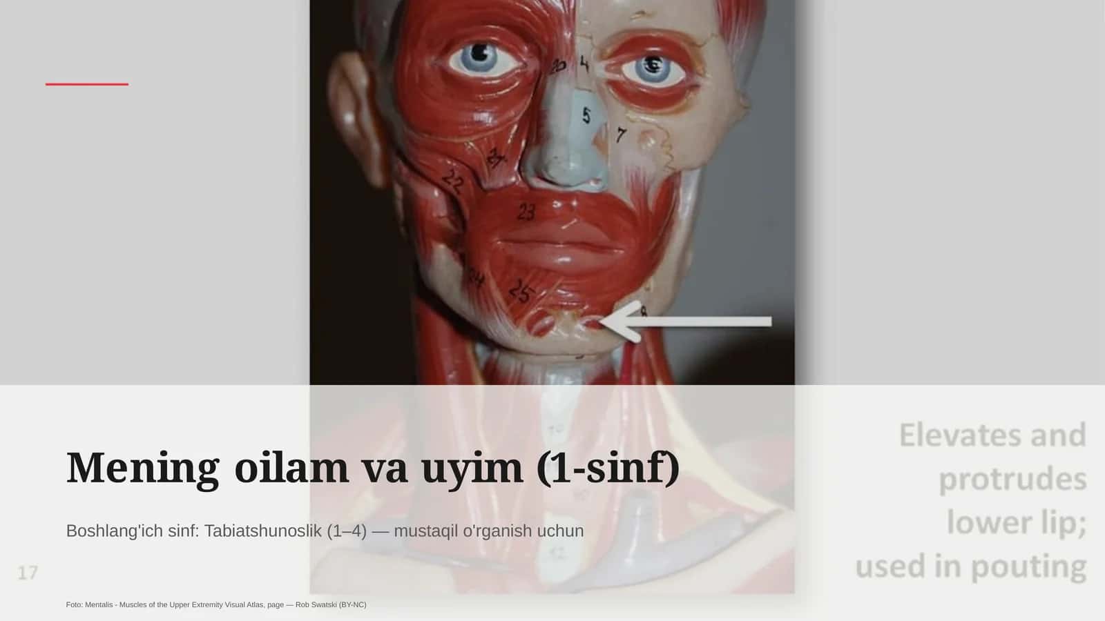 Mening oilam va uyim (1-sinf) 1