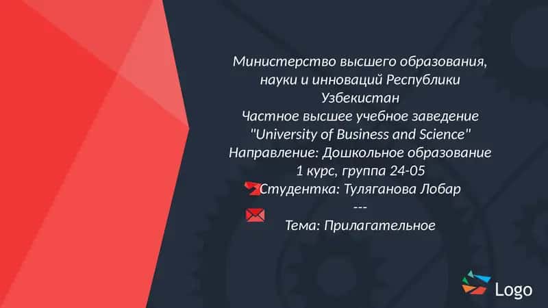 Тема: Прилагательное 1