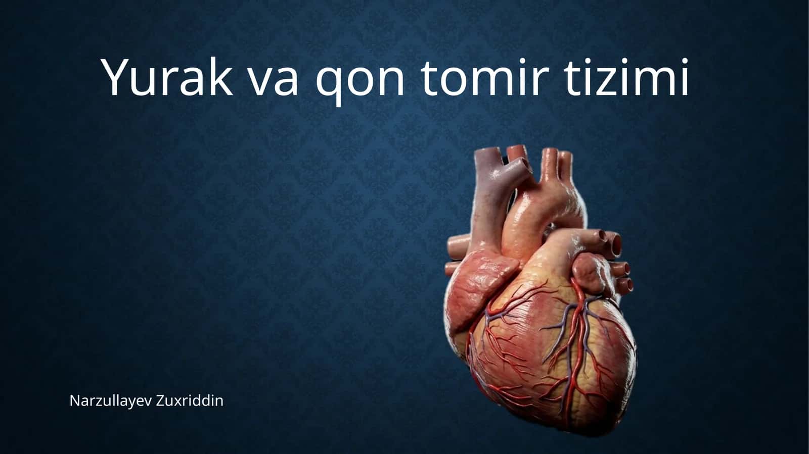 Yurak qon tomir prezentatsiya 1
