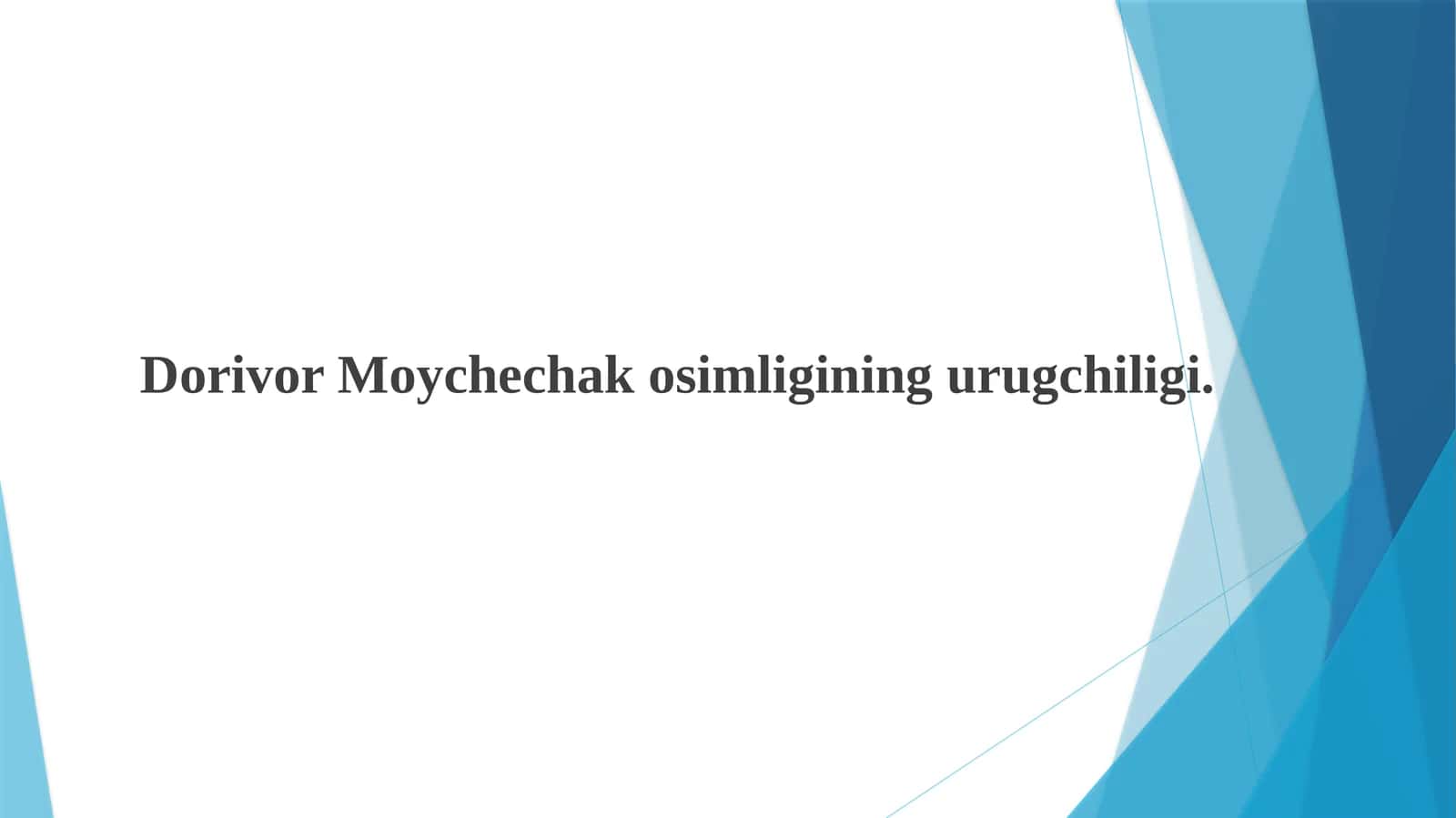Dorivor moychechak 1