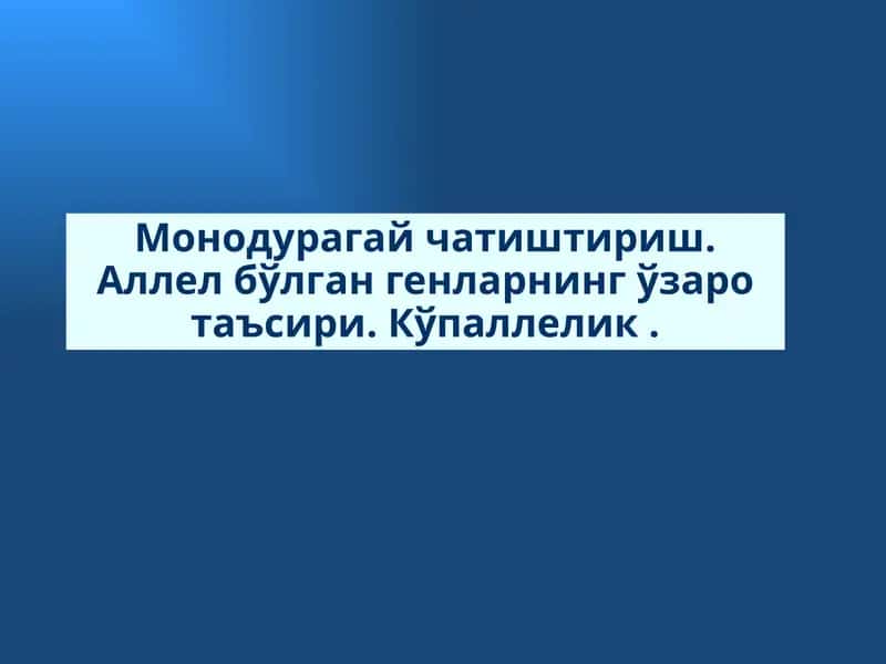 Маърузанингтаълим технологияси 1