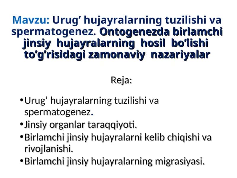 Urug’ hujayralarning tuzilishi va spermatogenez 1