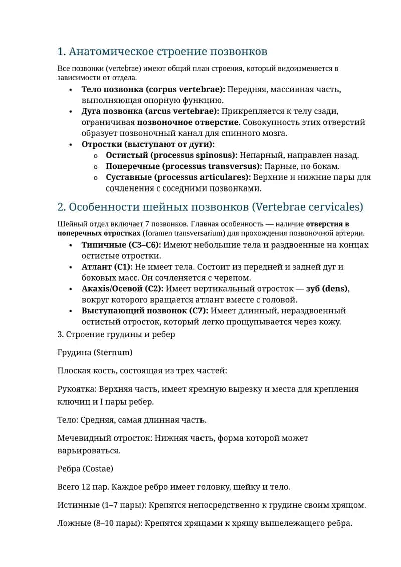 Анатомия остеология 1