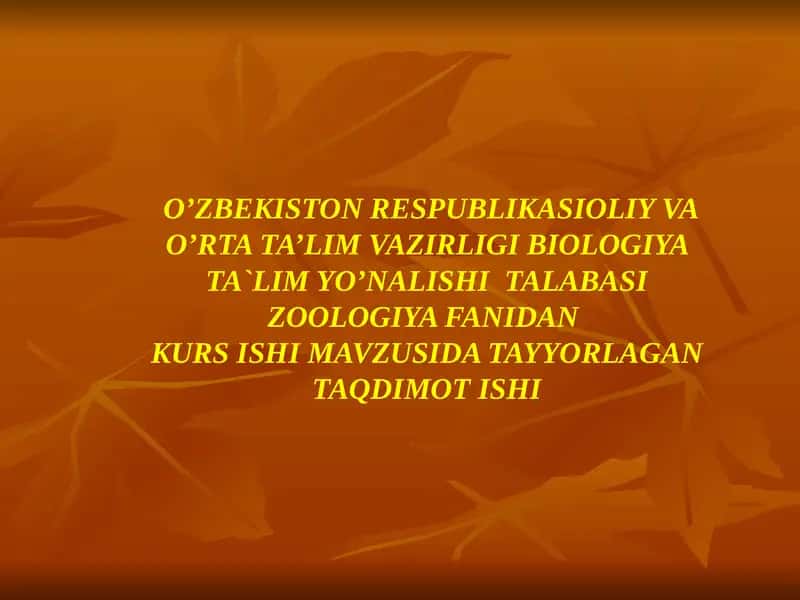 Amfibiyasinfining ekalogiyasi va evalutsiyasi 1